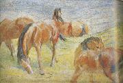 Franz Marc Graing Horses i (mk34) Sweden oil painting artist